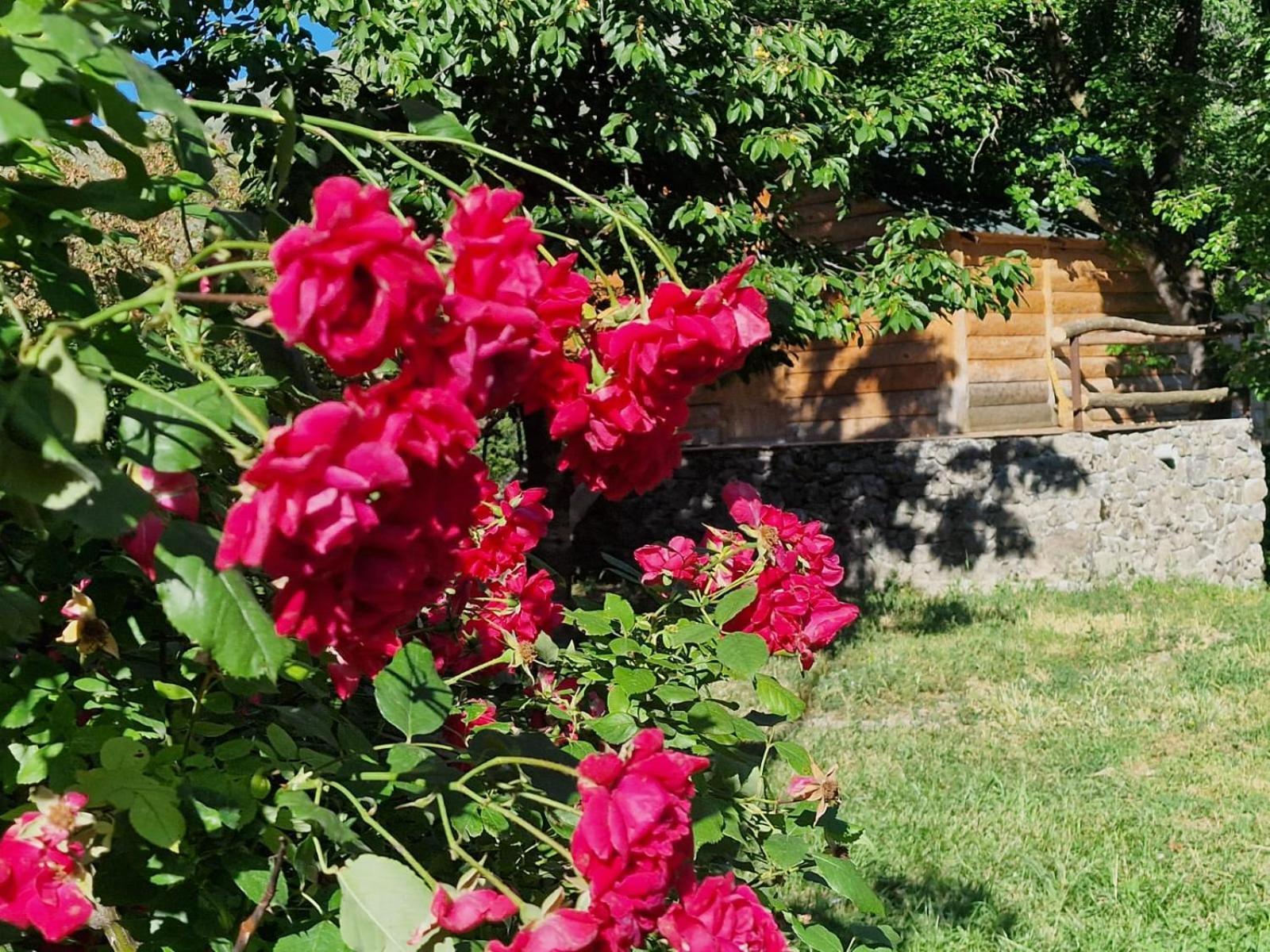 Guest House Aleksandre T'mogvi Стая снимка
